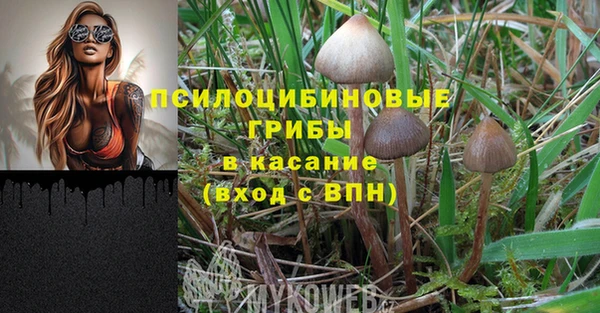 метадон Аркадак